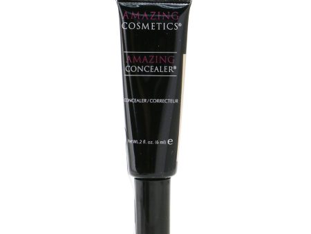 Amazing Cosmetics Amazing Concealer - # Fair  6ml 0.2oz For Cheap