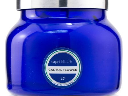 Capri Blue Blue Jar Candle - Cactus Flower  226g 8oz For Sale