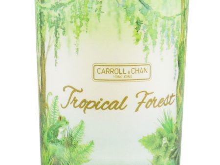 The Candle Company (Carroll & Chan) 100% Beeswax Votive Candle - Tropical Forest  65g 2.3oz Online now